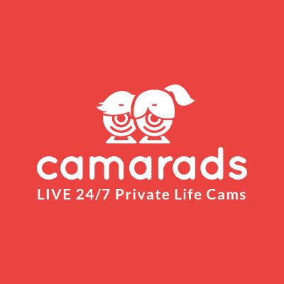 voyeur homes|Camarads • Watch the private life of other people live.